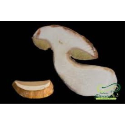 BOLETUS EDULIS LAMINADOS SM     |UN| 1,000|03